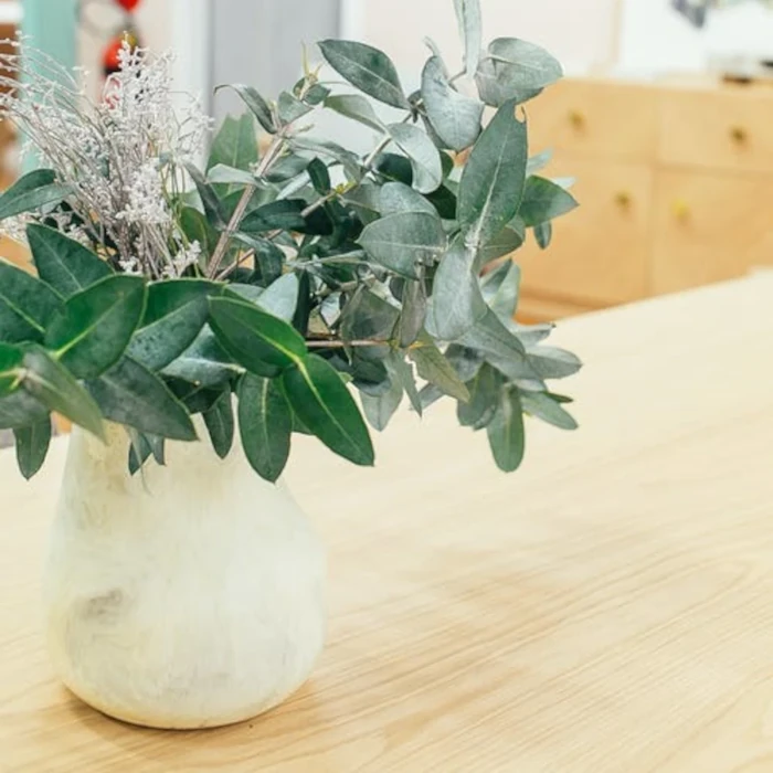 Ambiente saudável com luz natural e elementos da neuroarquitetura