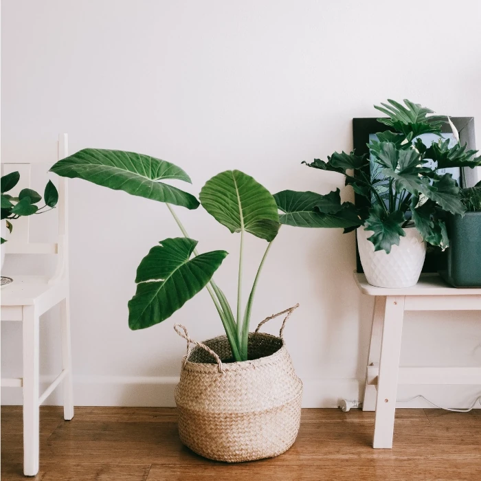 Exemplo de sofá-cama multifuncional mostrando o potencial de aproveitamento dos espaços pequenos